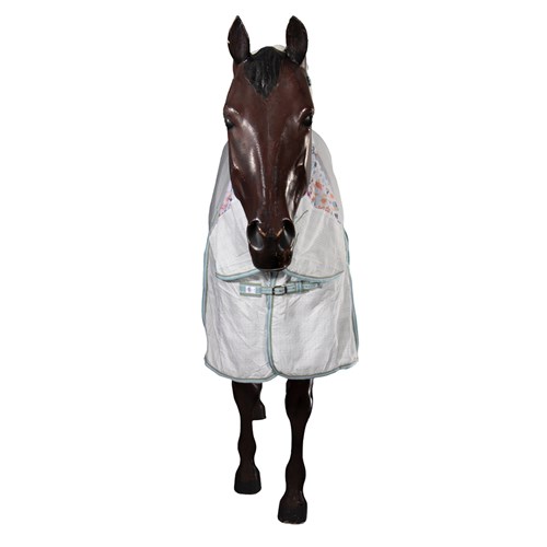 RUG7475-63 DD-02